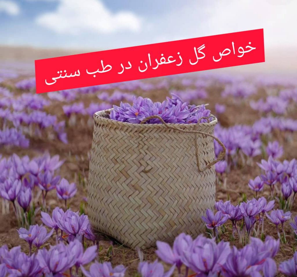 خواص گل زعفران در طب سنتی در گل زعفران برای چی خوبه