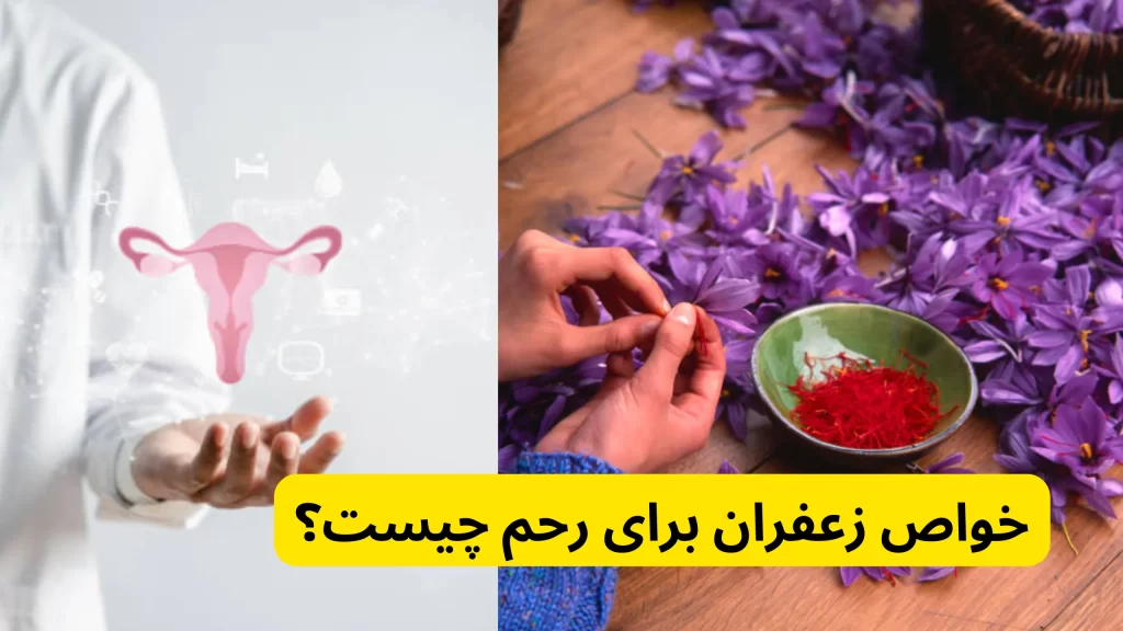 خواص زعفران برای رحم چیست؟ در خواص زعفران برای رحم