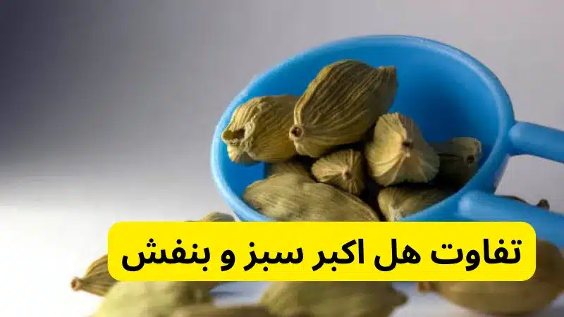 تفاوت هل اکبر سبز و بنفش