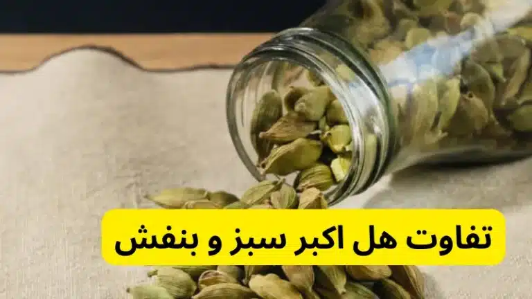 تفاوت هل اکبر سبز و بنفش