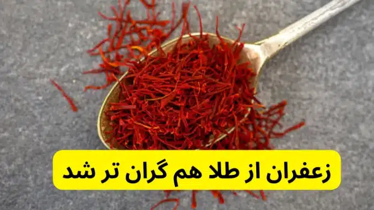 زعفران از طلا هم گران تر شد