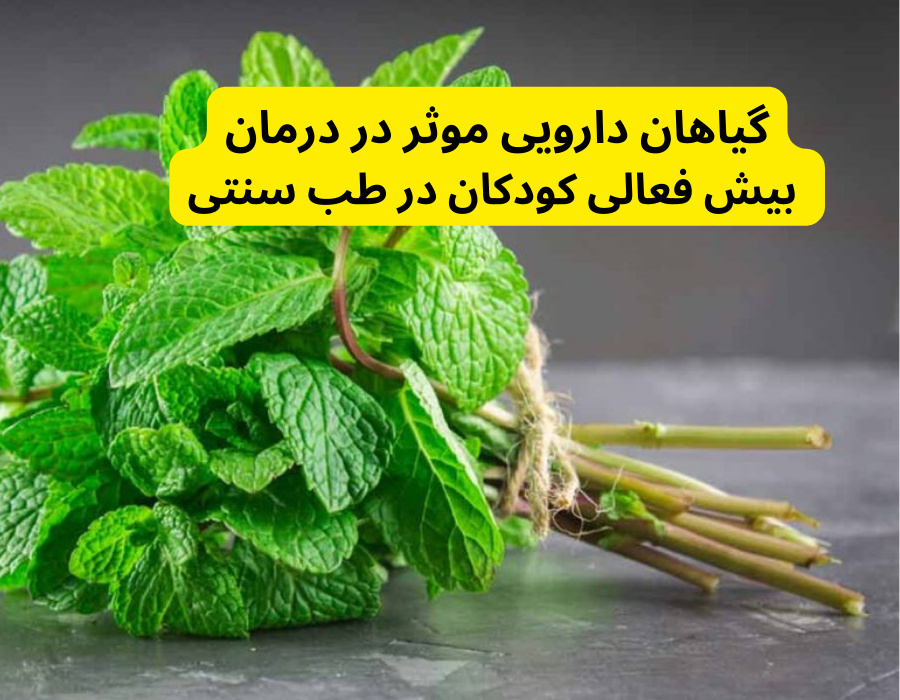 گیاهان دارویی موثر در درمان بیش فعالی کودکان در طب سنتی