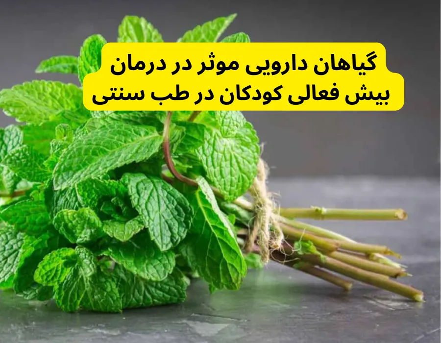 گیاهان دارویی موثر در درمان بیش فعالی کودکان