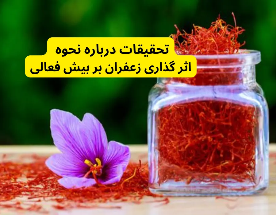 تحقیقات درباره نحوه اثر گذاری زعفران بر بیش فعالی