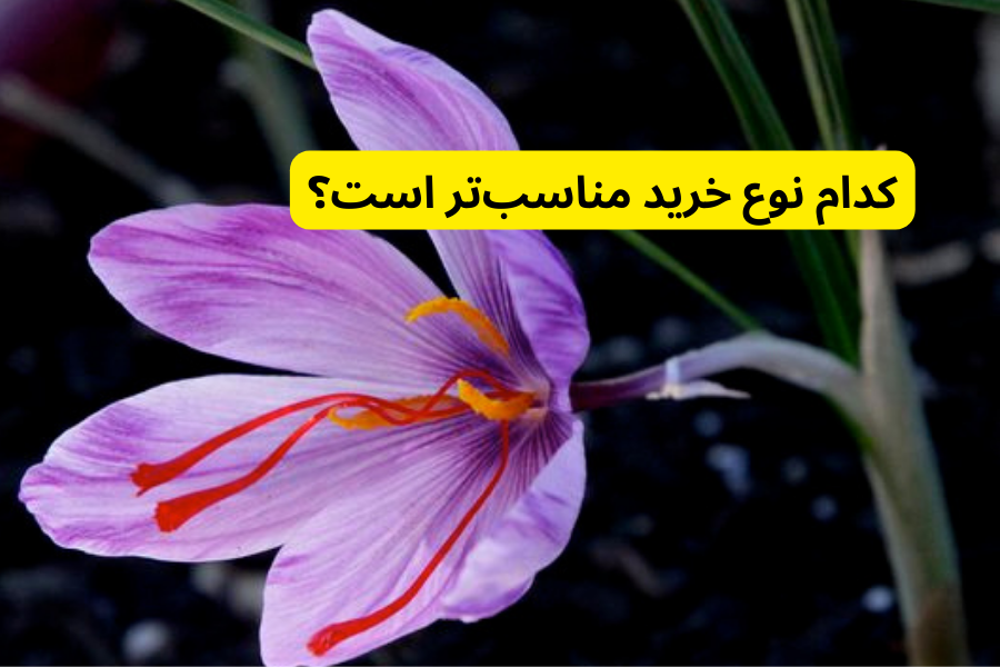 کدام نوع خرید مناسب‌تر است؟