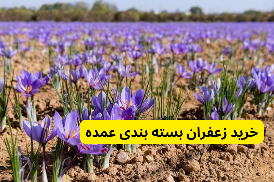 خرید زعفران بسته بندی عمده