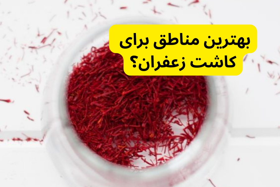 بهترین مناطق برای کاشت زعفران؟