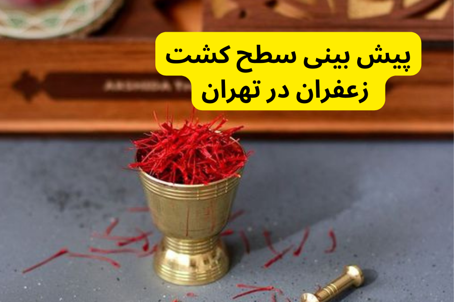 پیش بینی سطح کشت زعفران در تهران