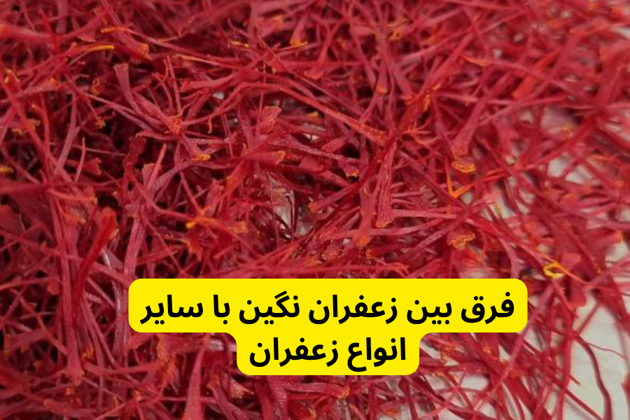 فرق بین زعفران نگین با سایر انواع زعفران