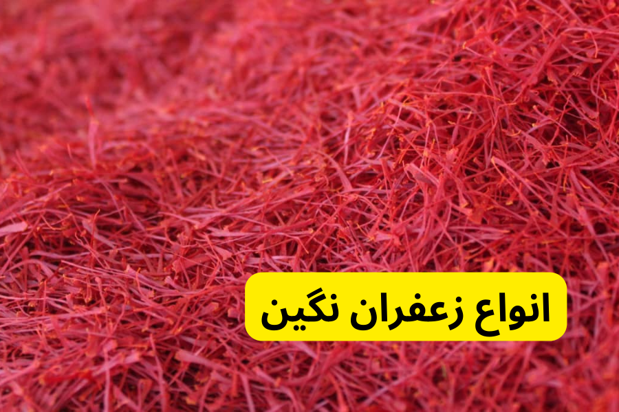 انواع زعفران نگین