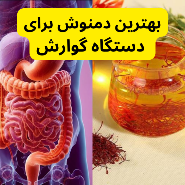 بهترین دمنوش برای دستگاه گوارش