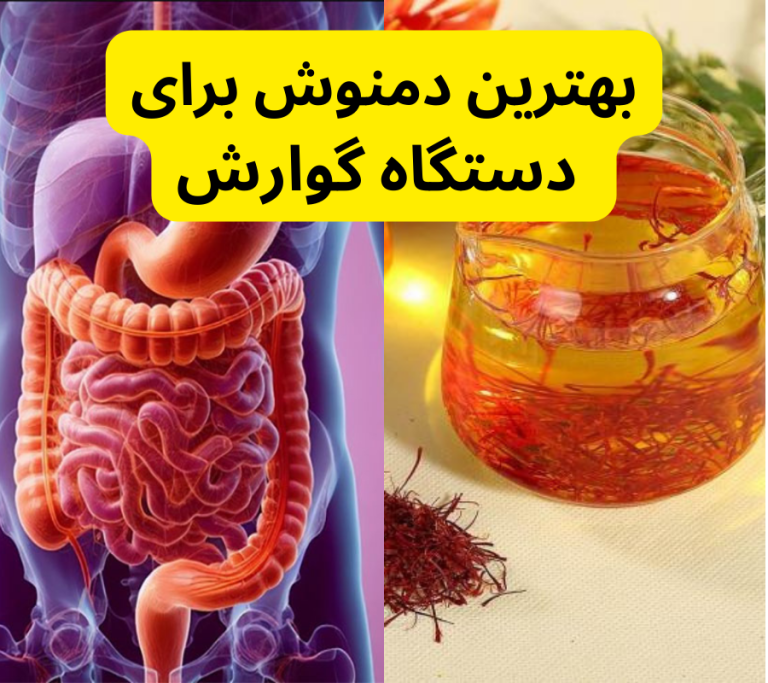 بهترین دمنوش برای دستگاه گوارش