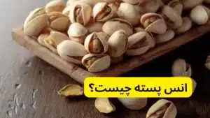 انس پسته چیست؟