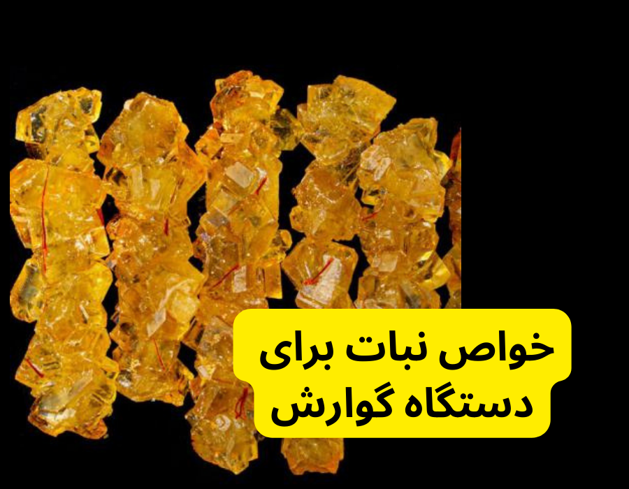 خواص نبات برای دستگاه گوارش