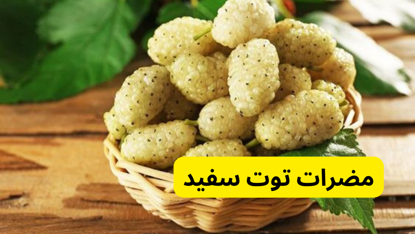 مضرات توت سفید در خاصیت توت سفید برای بدن