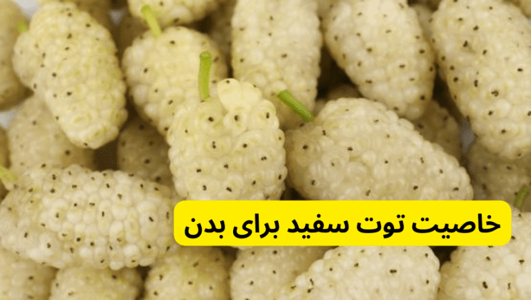 خاصیت توت سفید برای بدن