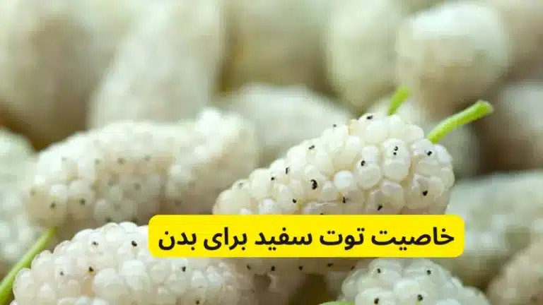 خاصیت توت سفید برای بدن