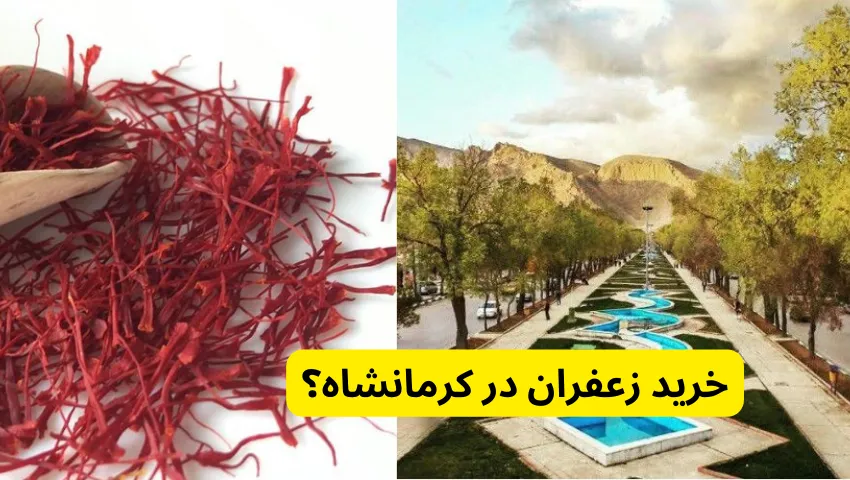 خرید زعفران در کرمانشاه؟ در خرید زعفران در کرمانشاه از کجا ؟