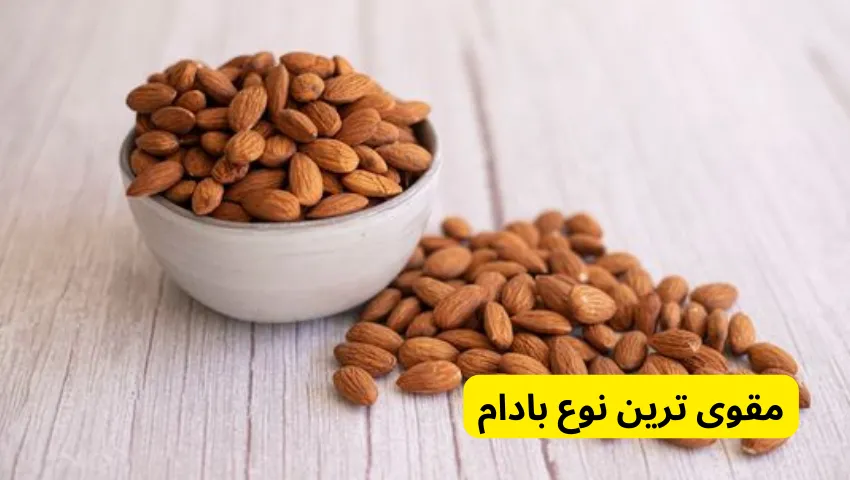 مقوی ترین نوع بادام 