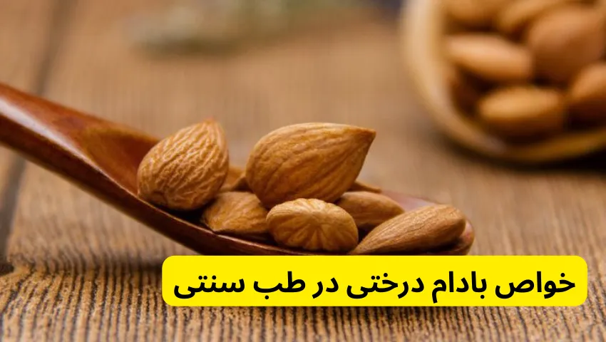 خواص بادام درختی در طب سنتی در 9 مورد از مهمترین خواص بادام درختی