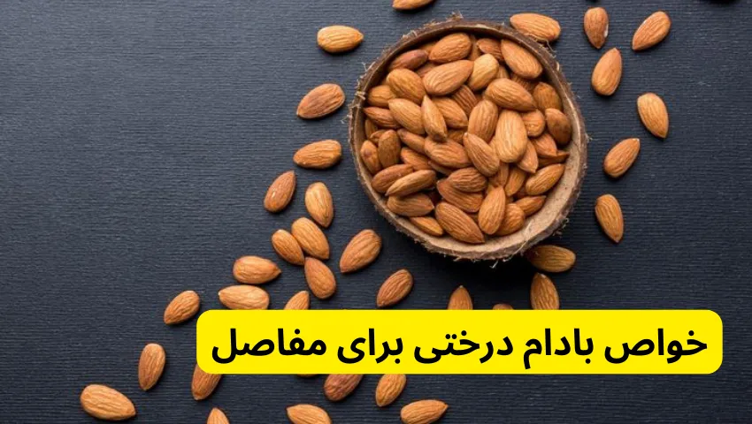 خواص بادام درختی برای مفاصل