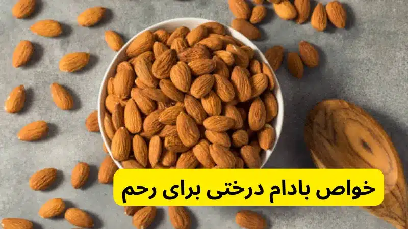 خواص بادام درختی برای رحم