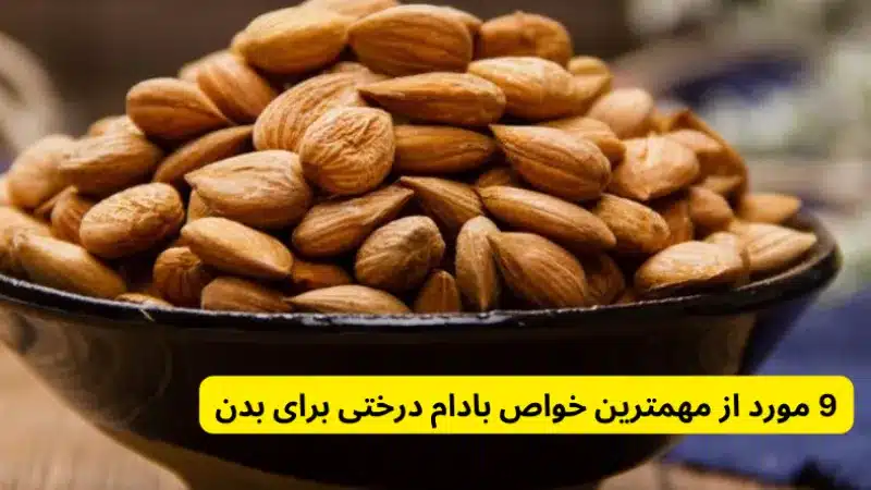 9 مورد از مهمترین خواص بادام درختی برای بدن
