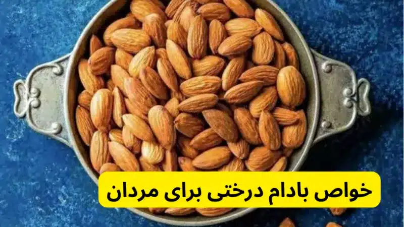 خواص بادام درختی برای مردان