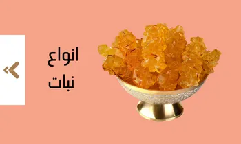 انواع نبات در فروشگاه اینترنتی لیاگل