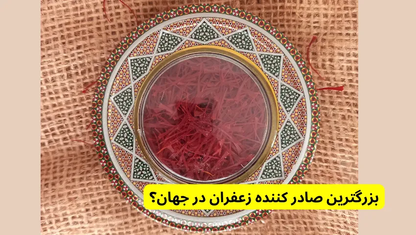 بزرگترین صادر کننده زعفران در جهان؟ در بهترین زعفران دنیا مال کدام کشور است؟