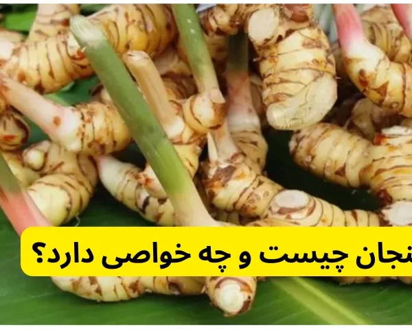 خولنجان چیست و چه خواصی دارد؟