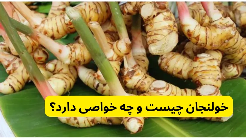 خولنجان چیست و چه خواصی دارد؟