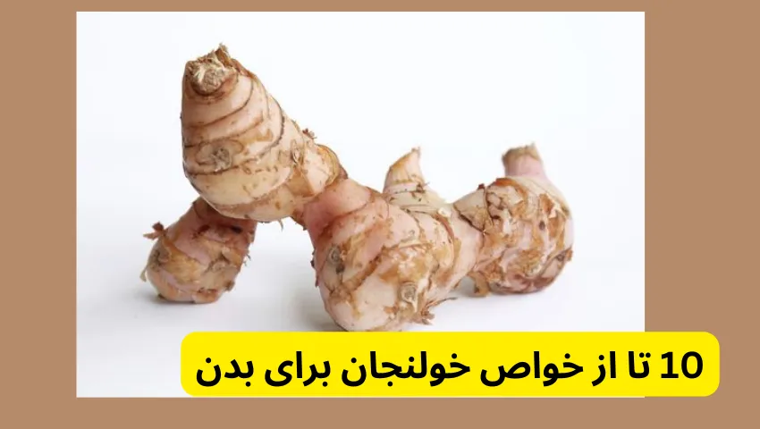 خولنجان چیست و چه خواصی دارد؟