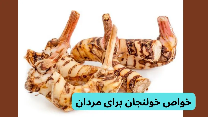 خواص خولنجان برای مردان در خولنجان چیست و چه خواصی دارد؟