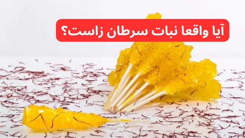 آیا واقعا نبات سرطان زاست؟