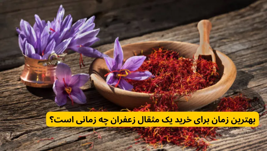 بهترین زمان برای خرید یک مثقال زعفران چه زمانی است؟ در قیمت یک مثقال زعفران قائنات چند؟