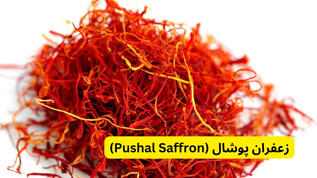 3.زعفران پوشال (Pushal Saffron)