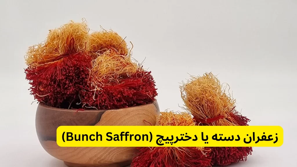 زعفران دسته یا دخترپیچ (Bunch Saffron) در زعفران سرگل بهتر است یا نگین؟