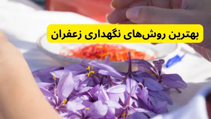 بهترین روش‌های نگهداری زعفران