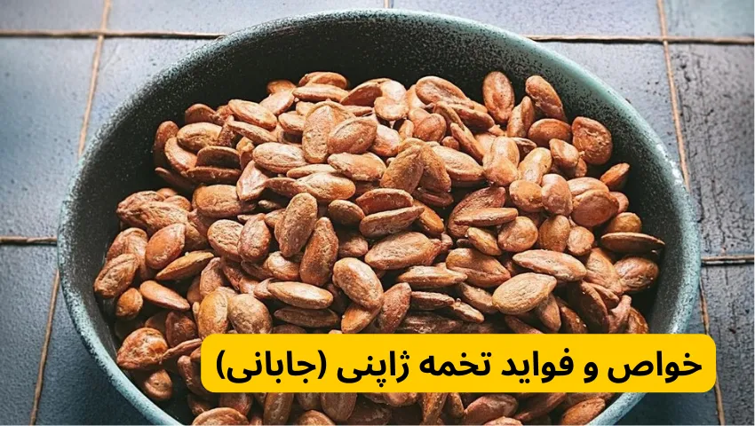 خواص و فواید تخمه ژاپنی (جابانی) 