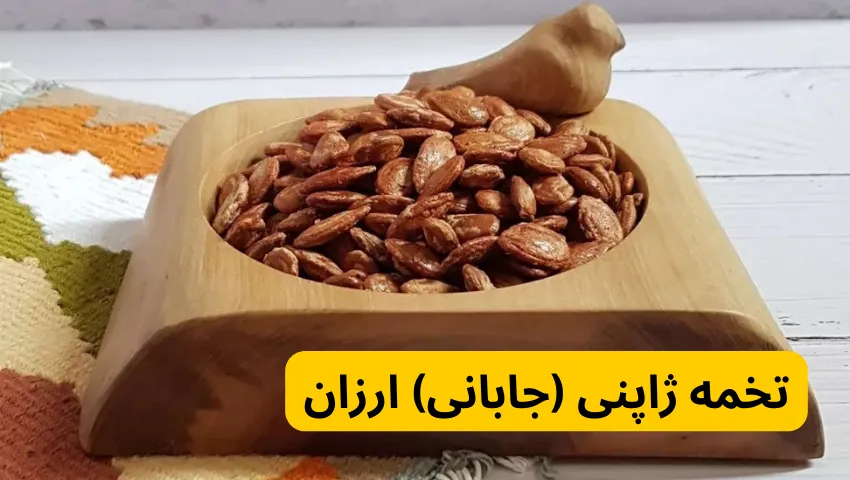 تخمه ژاپنی (جابانی) ارزان در خرید تخمه ژاپنی (جابانی)