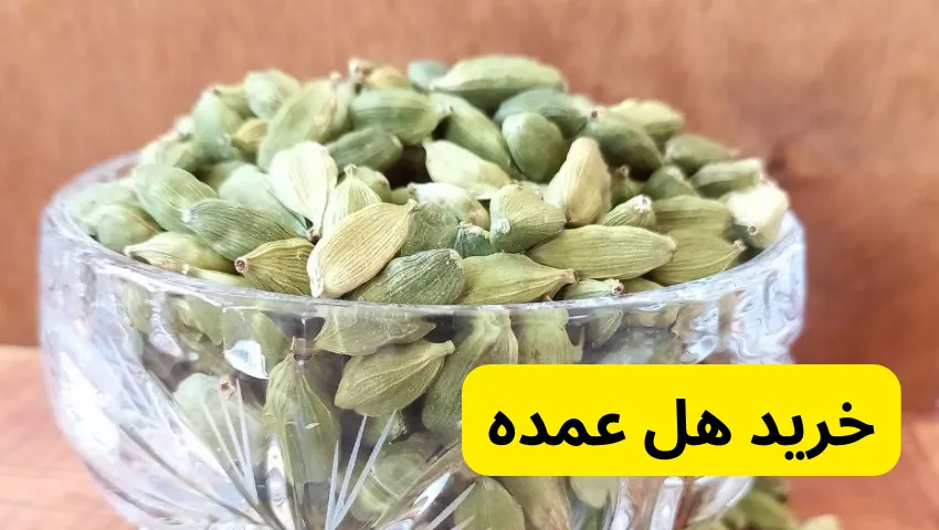 خرید هل عمده