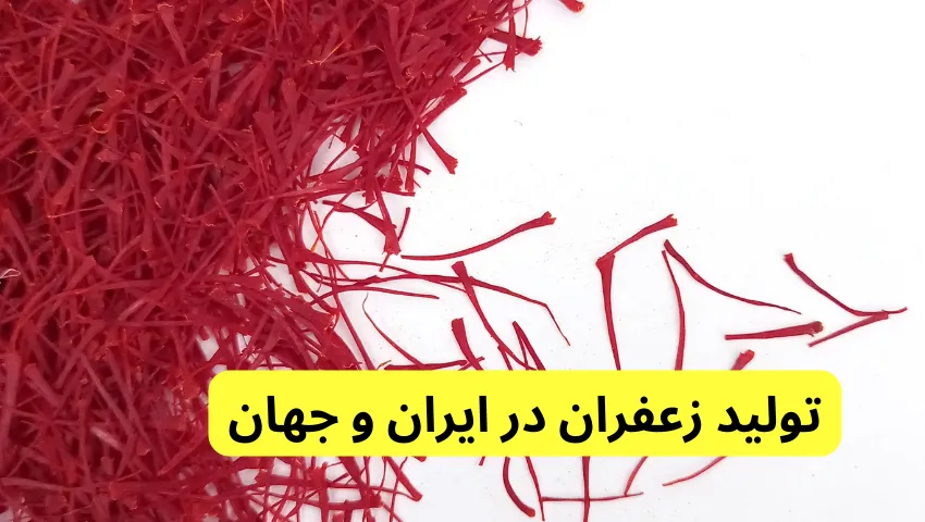 تولید زعفران در  ایران و جهان