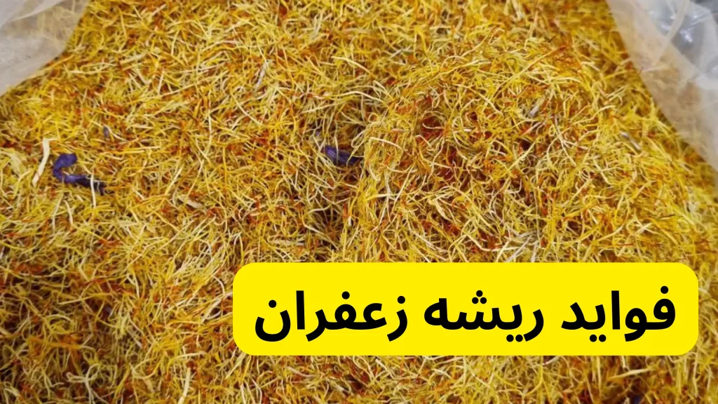 فواید ریشه زعفران