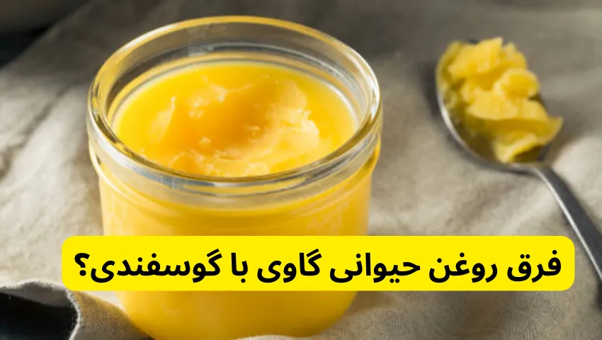 فرق روغن حیوانی گاوی با گوسفندی؟