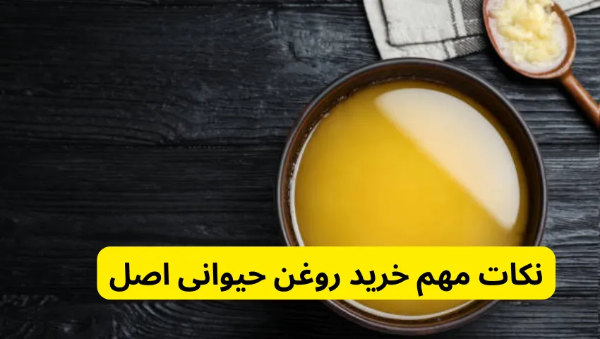 نکات مهم خرید روغن حیوانی اصل