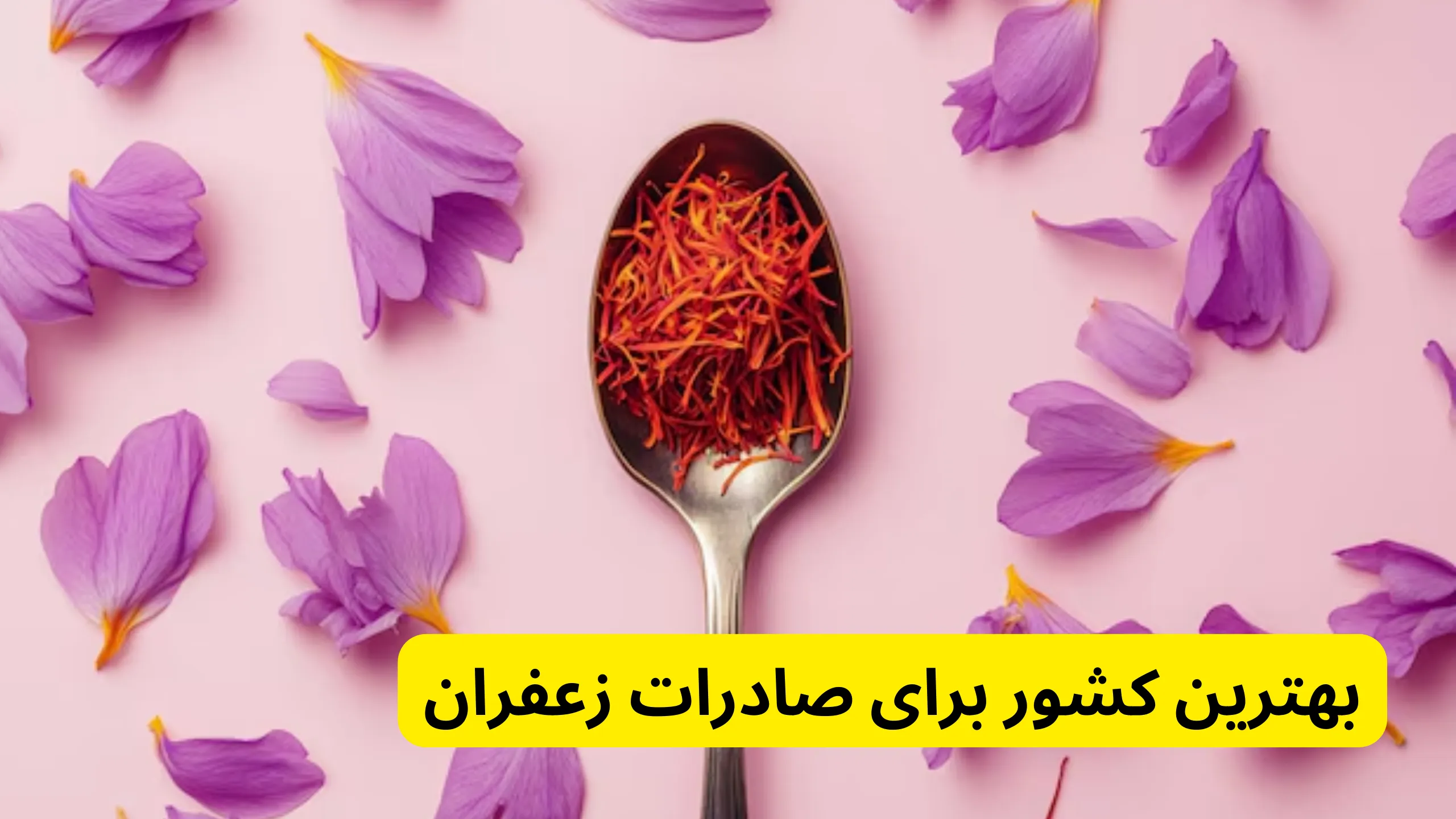 مهناز آقا بیگی