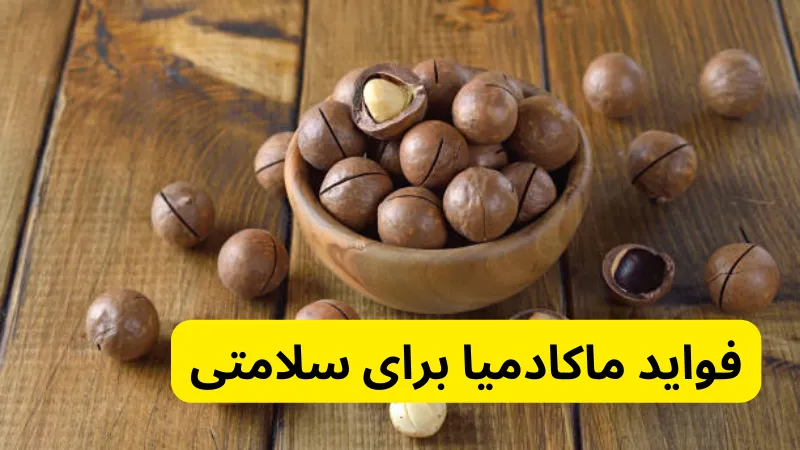 فواید ماکادمیا برای سلامتی در خرید ماکادمیا