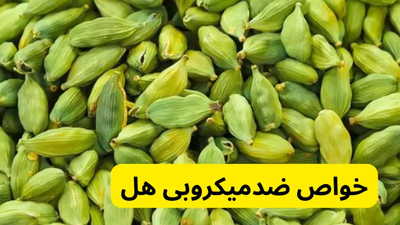 خواص ضد باکتریایی، ضد قارچی و ضد ویروسی هل