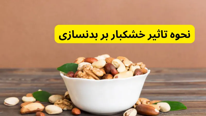 نحوه تاثیر خشکبار بر بدنسازی 